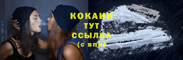 МДПВ Краснослободск