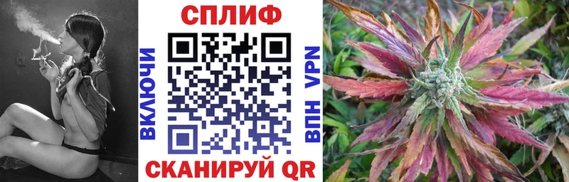 Купить закладки  Правдинск  Каннабис семена 